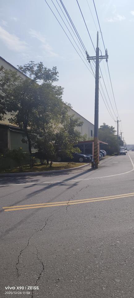 園藝維護案件圖片