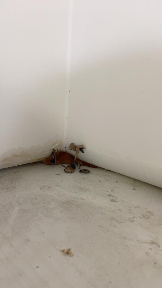 木工施工案件圖片