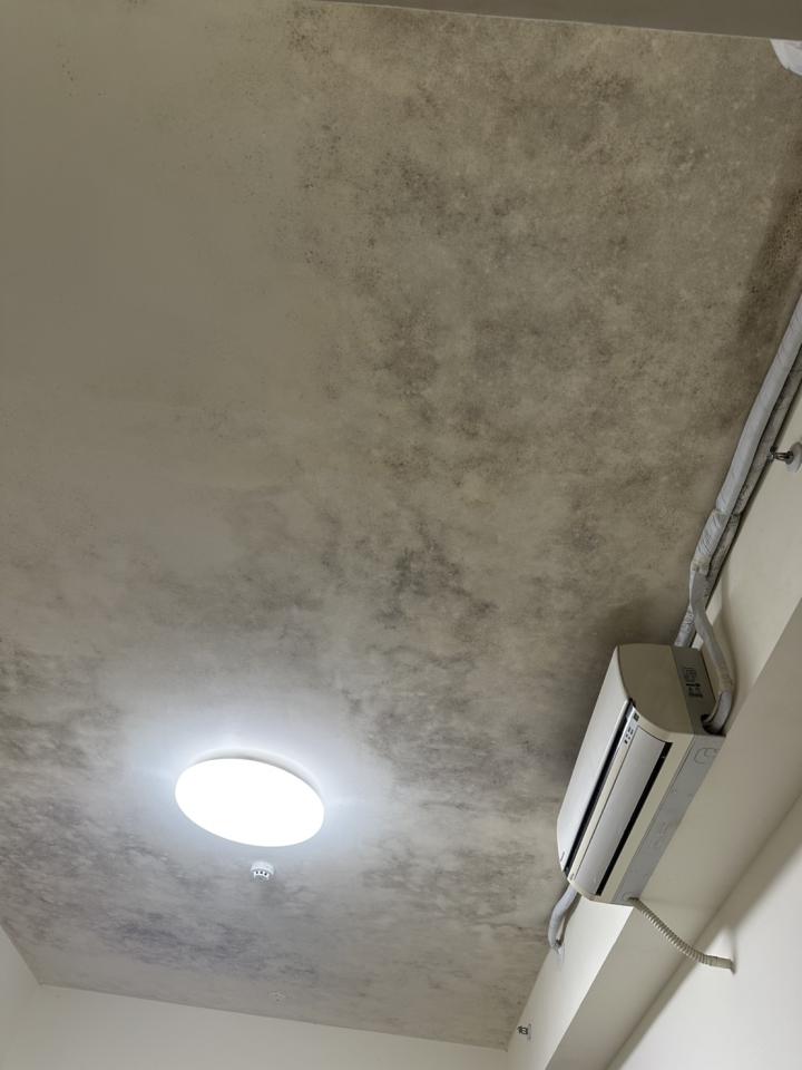 油漆工程案件圖片