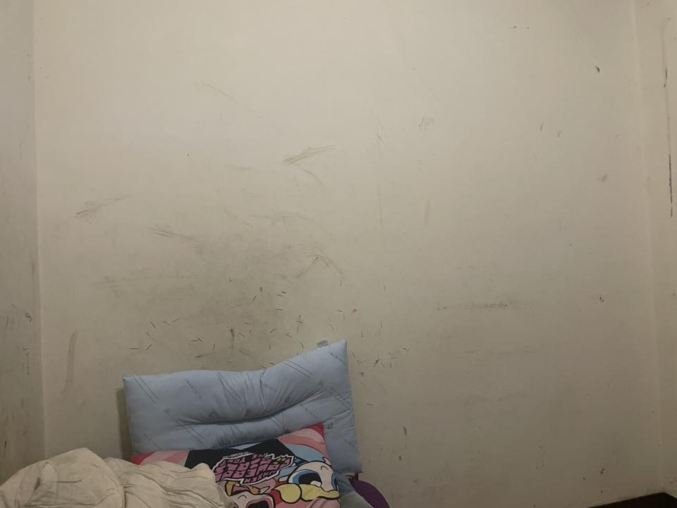 油漆工程案件圖片