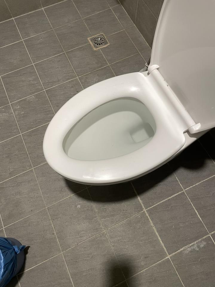 馬桶裝修案件圖片