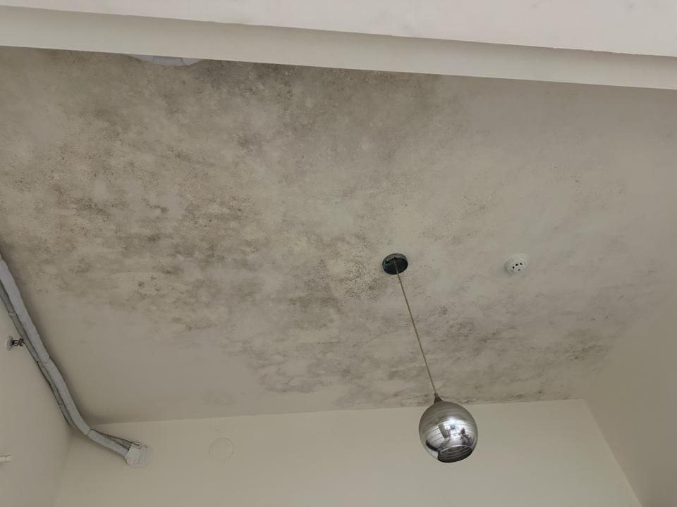 油漆工程案件圖片