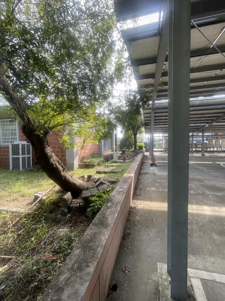 園藝維護案件圖片