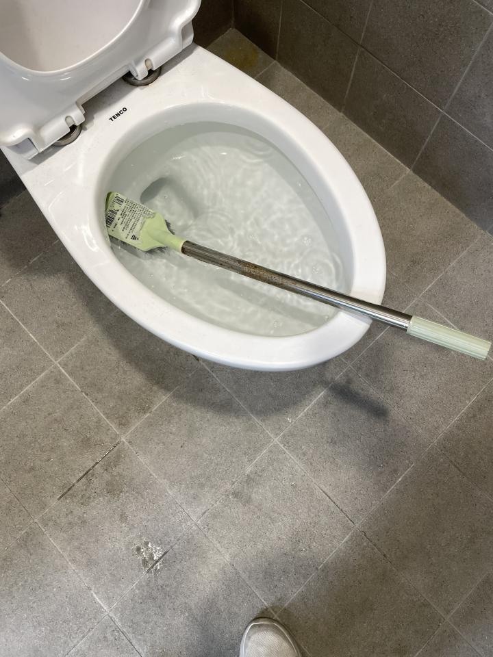 馬桶裝修案件圖片