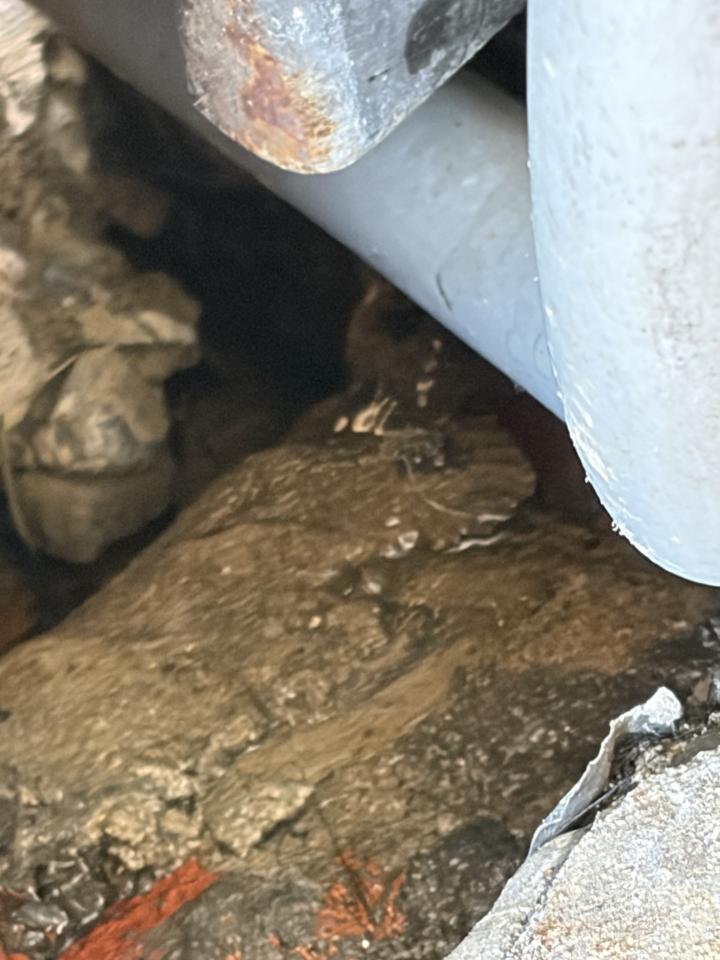 漏水處理案件圖片