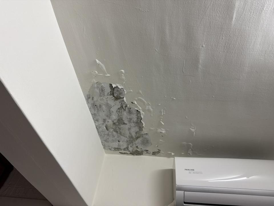 漏水鑑定案件圖片