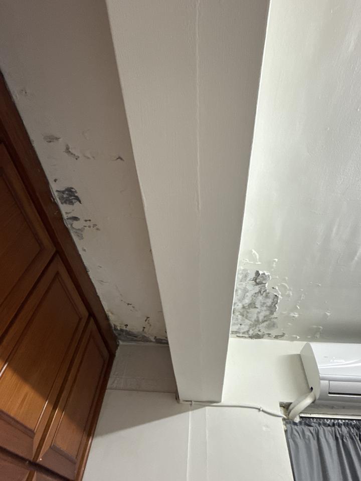 漏水鑑定案件圖片