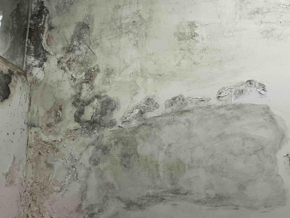 油漆工程案件圖片