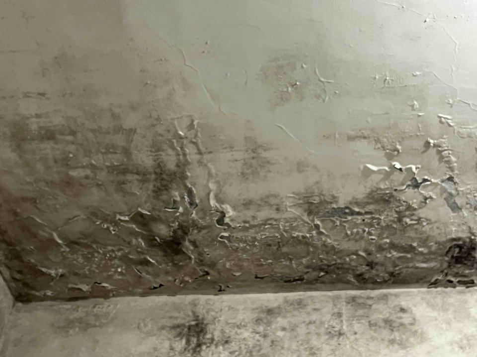 油漆工程案件圖片