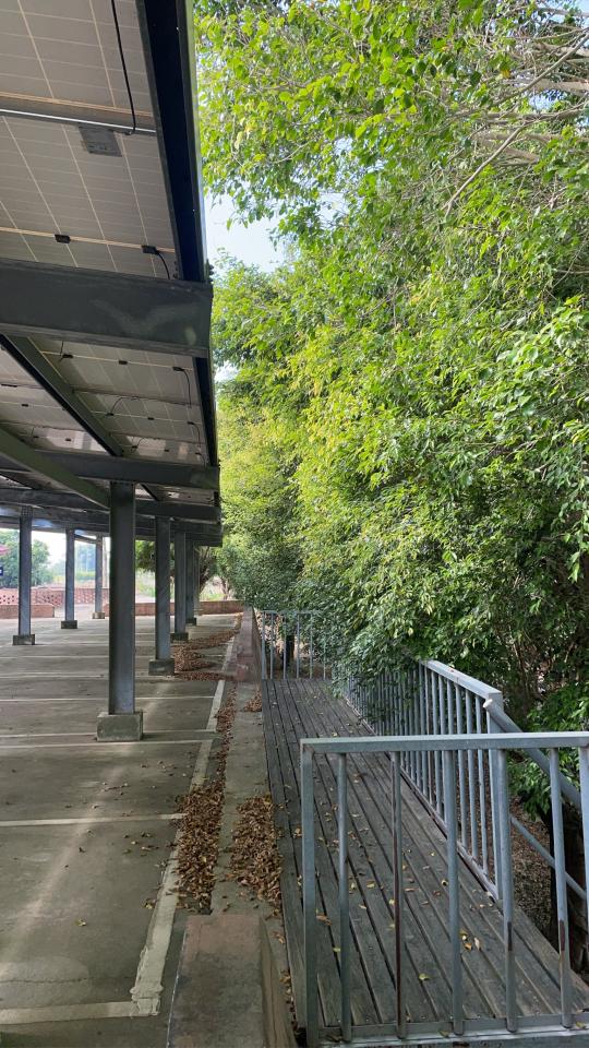 園藝維護案件圖片