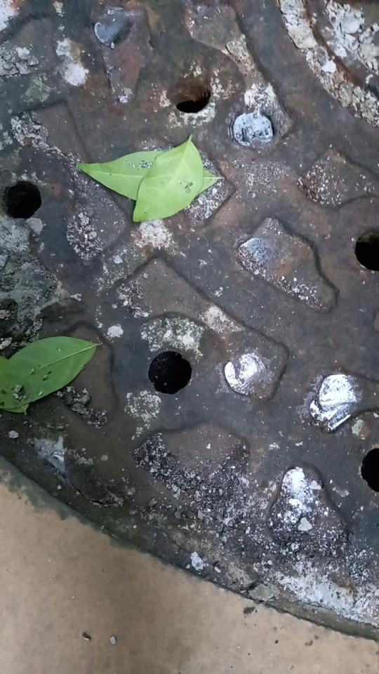 環保工程案件圖片