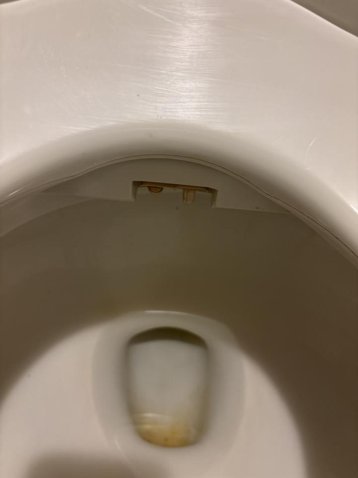 馬桶裝修案件圖片