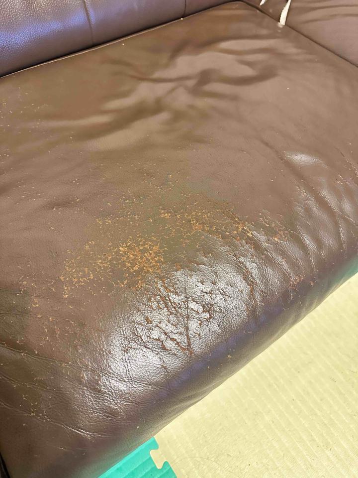 沙發修理案件圖片