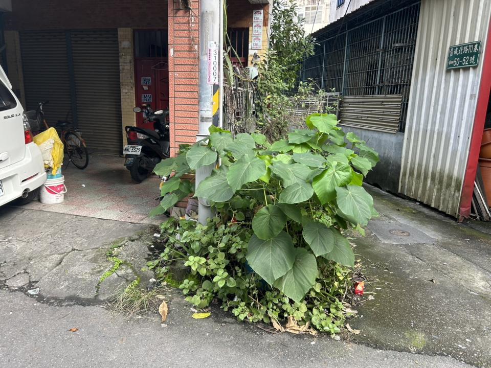 拆除工程案件圖片