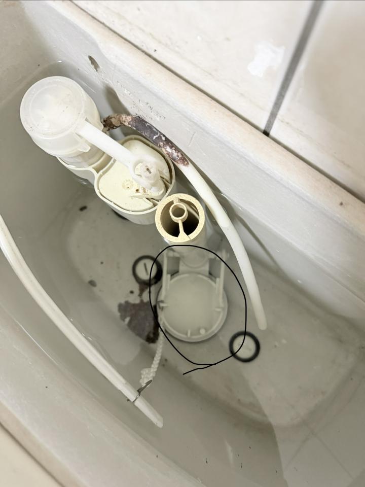 馬桶裝修案件圖片