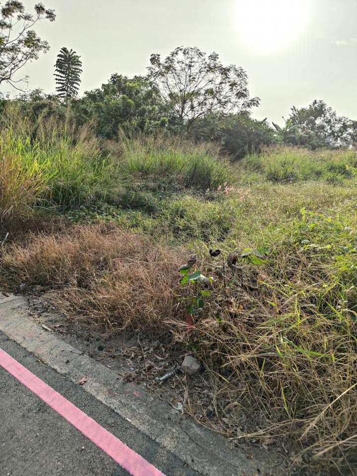 園藝維護案件圖片