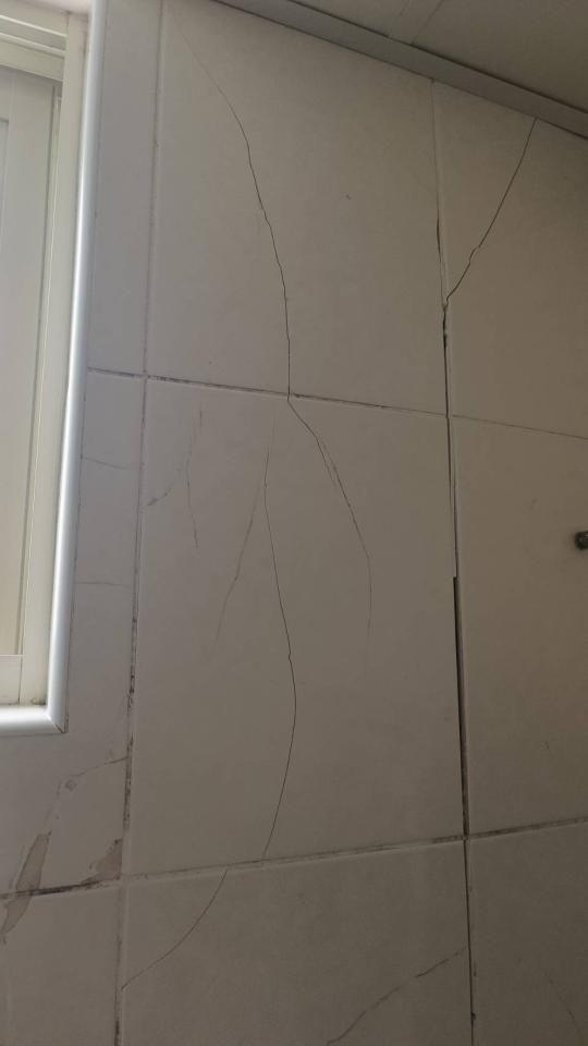 磁磚修補案件圖片