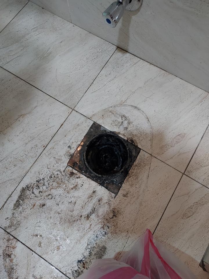 通馬桶案件圖片