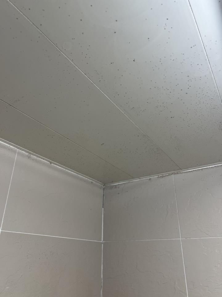 浴室除霉清潔案件圖片