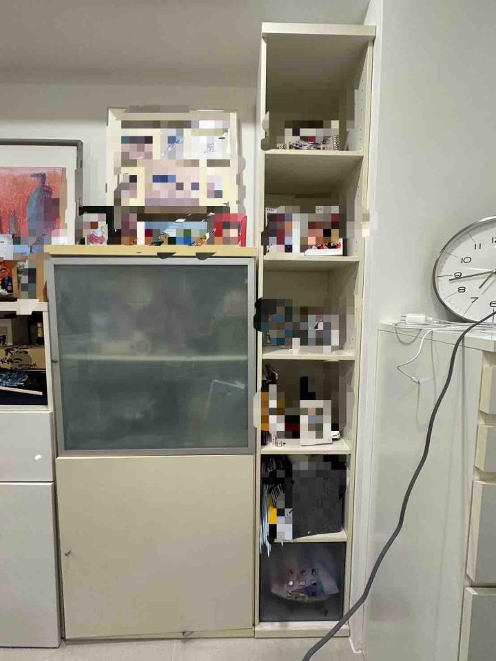 大型垃圾回收案件圖片