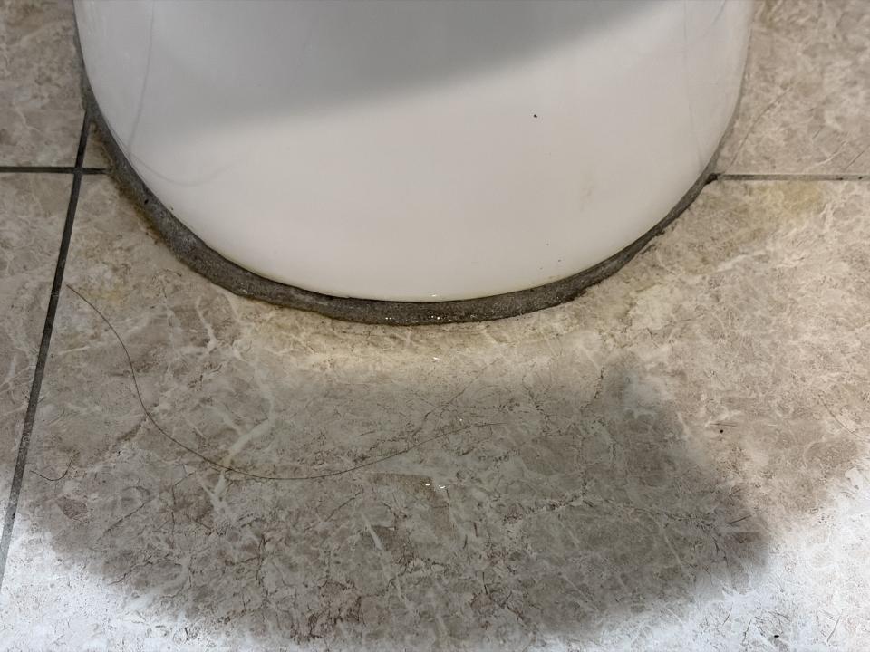 馬桶裝修案件圖片