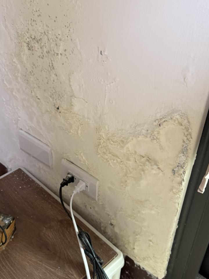 壁癌處理案件圖片