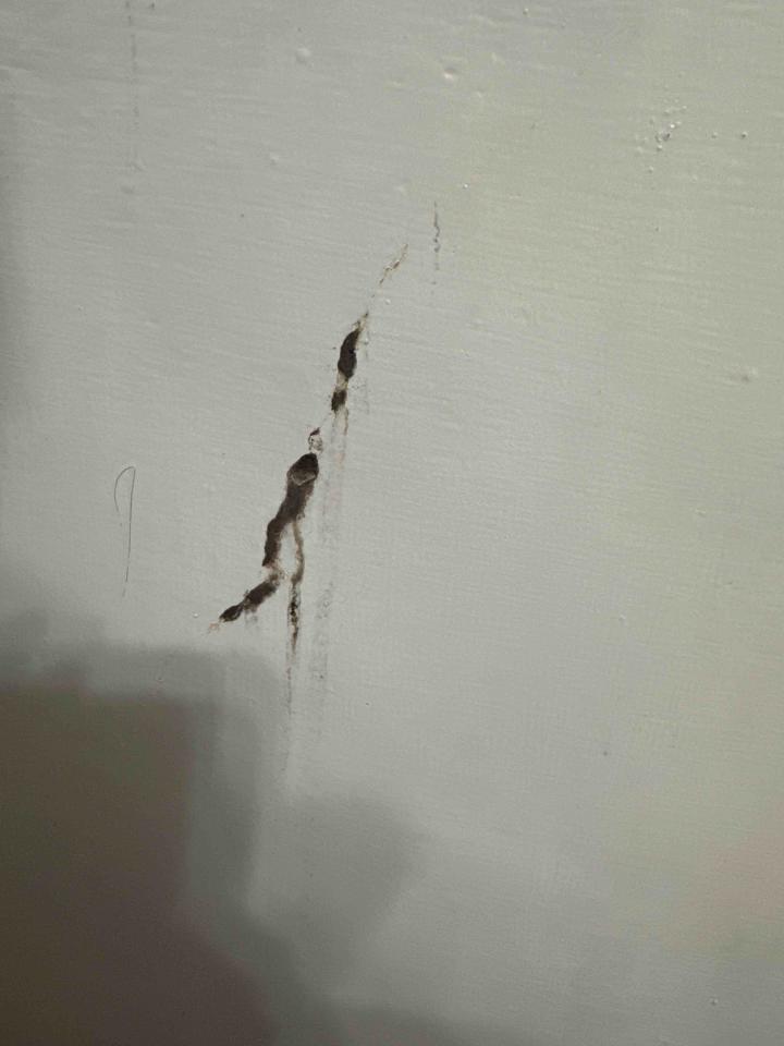 油漆工程案件圖片