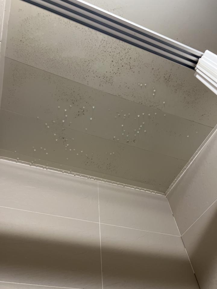 浴室除霉清潔案件圖片