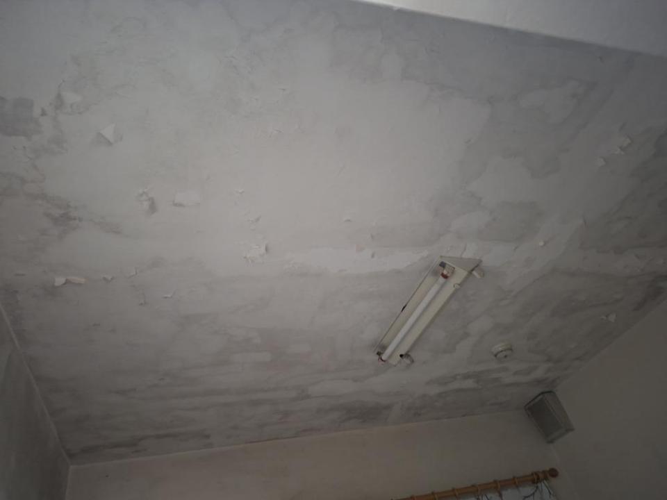 油漆工程案件圖片