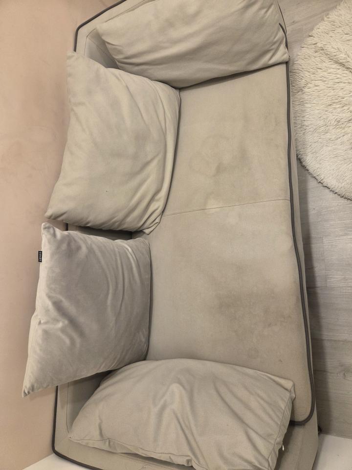 沙發清潔案件圖片