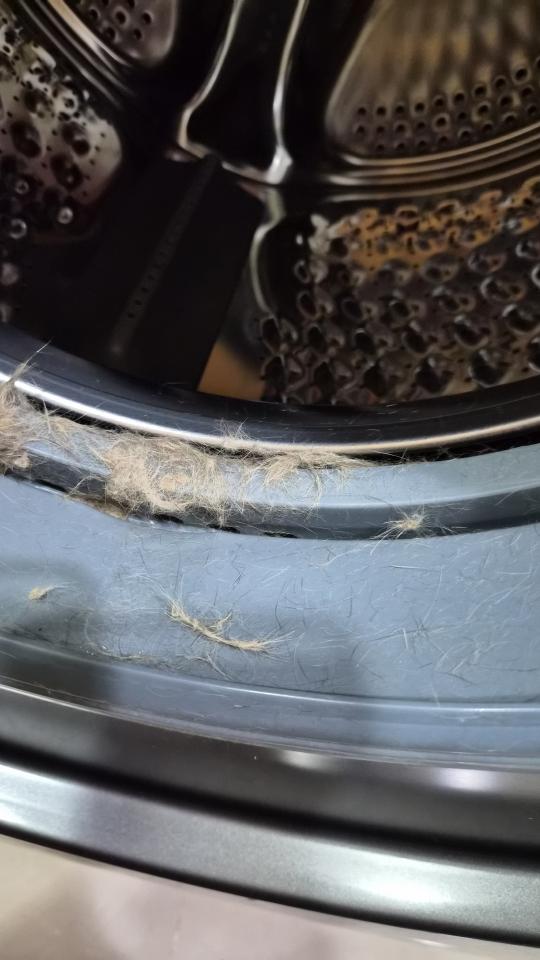 洗衣機清洗案件圖片