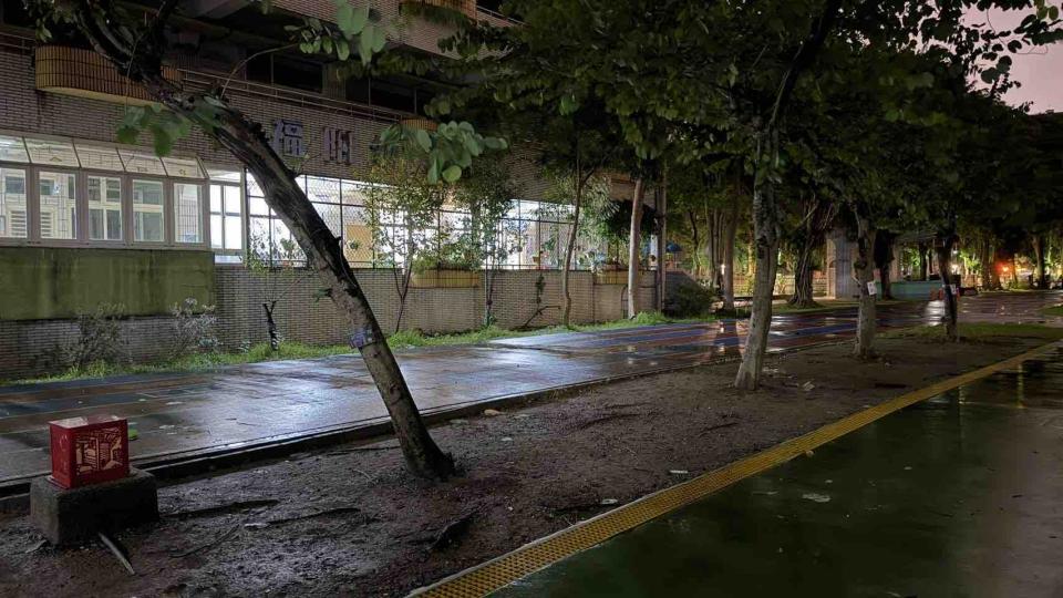 園藝維護案件圖片