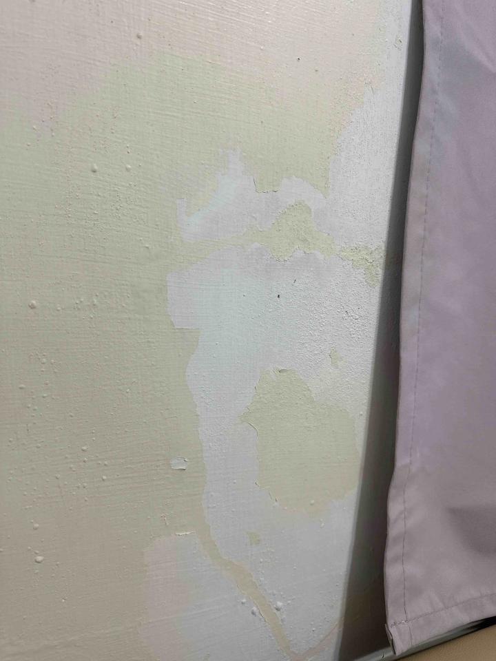 油漆工程案件圖片