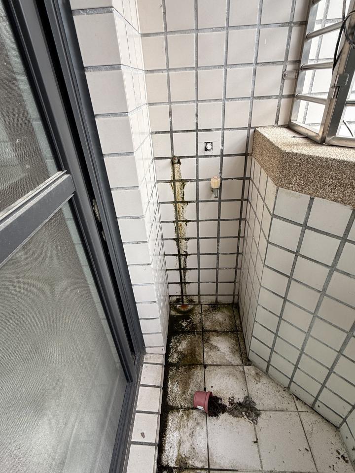 壁癌處理案件圖片