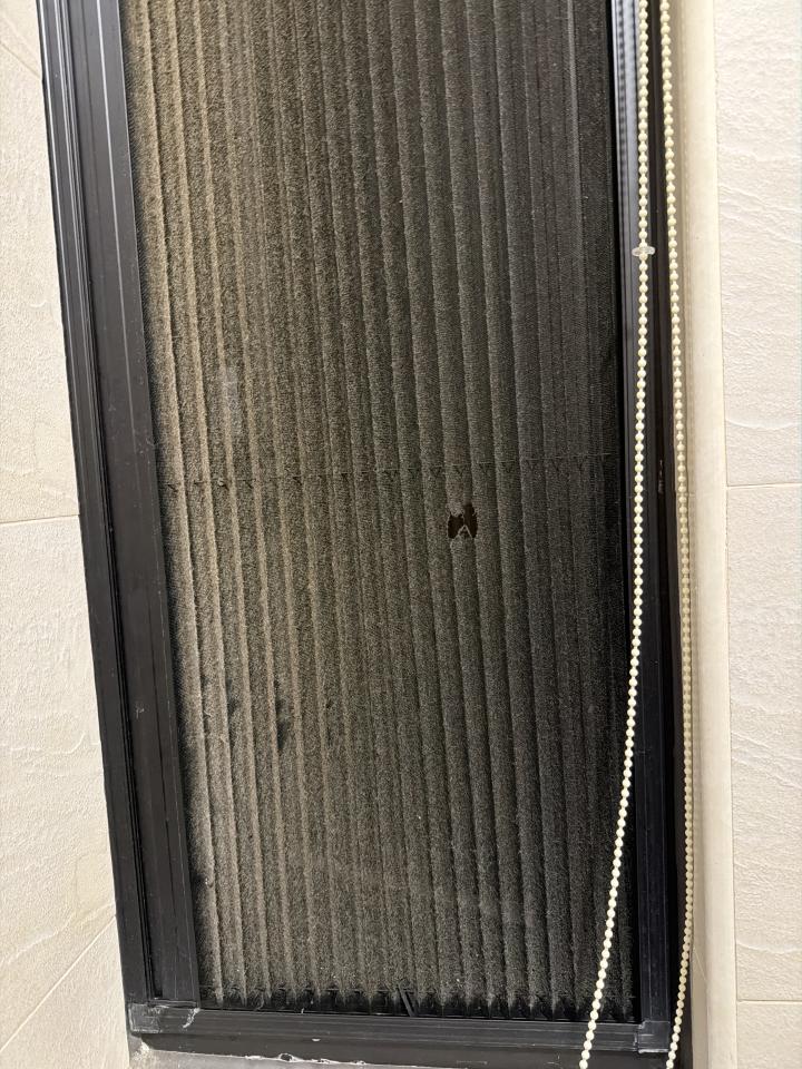 紗窗裝修案件圖片