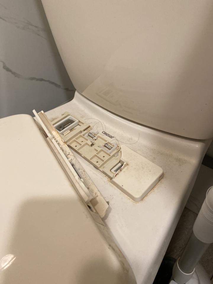 馬桶裝修案件圖片