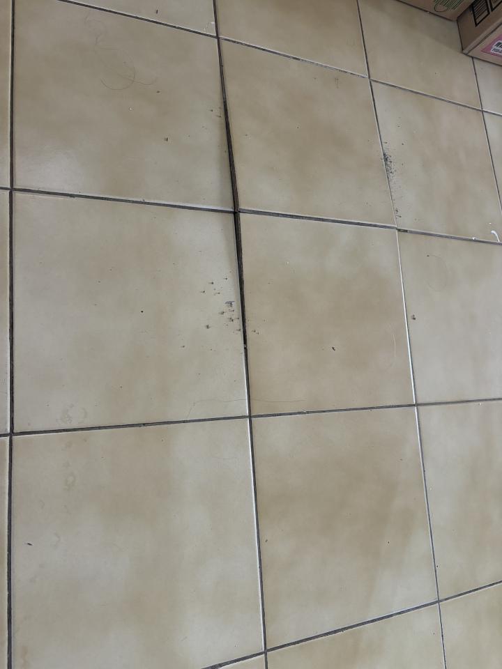 泥作/水泥施工案件圖片