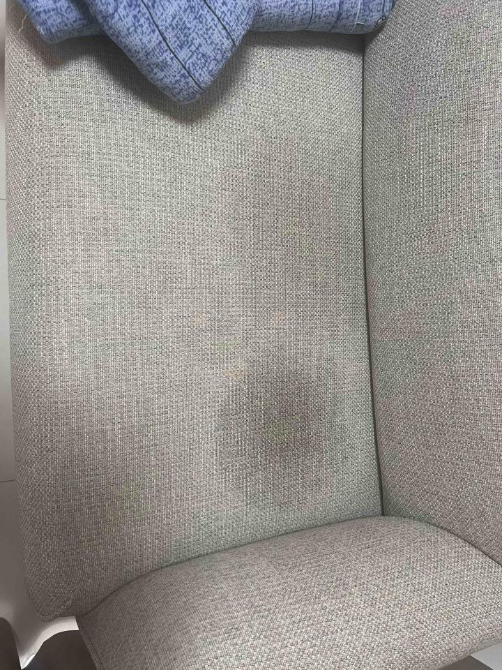 沙發清潔案件圖片