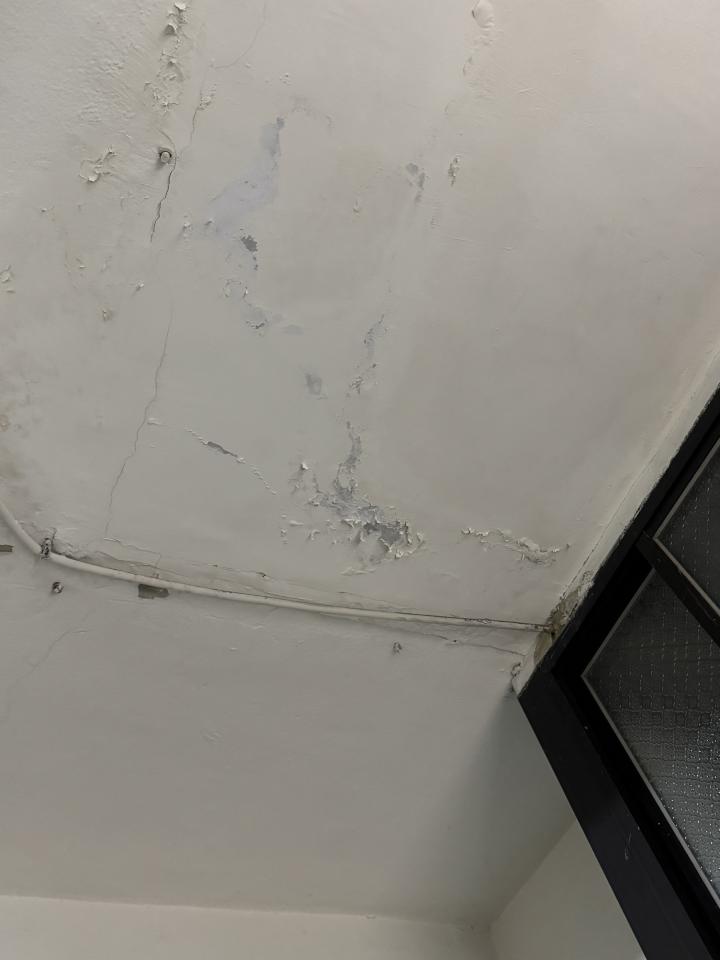 壁癌處理案件圖片