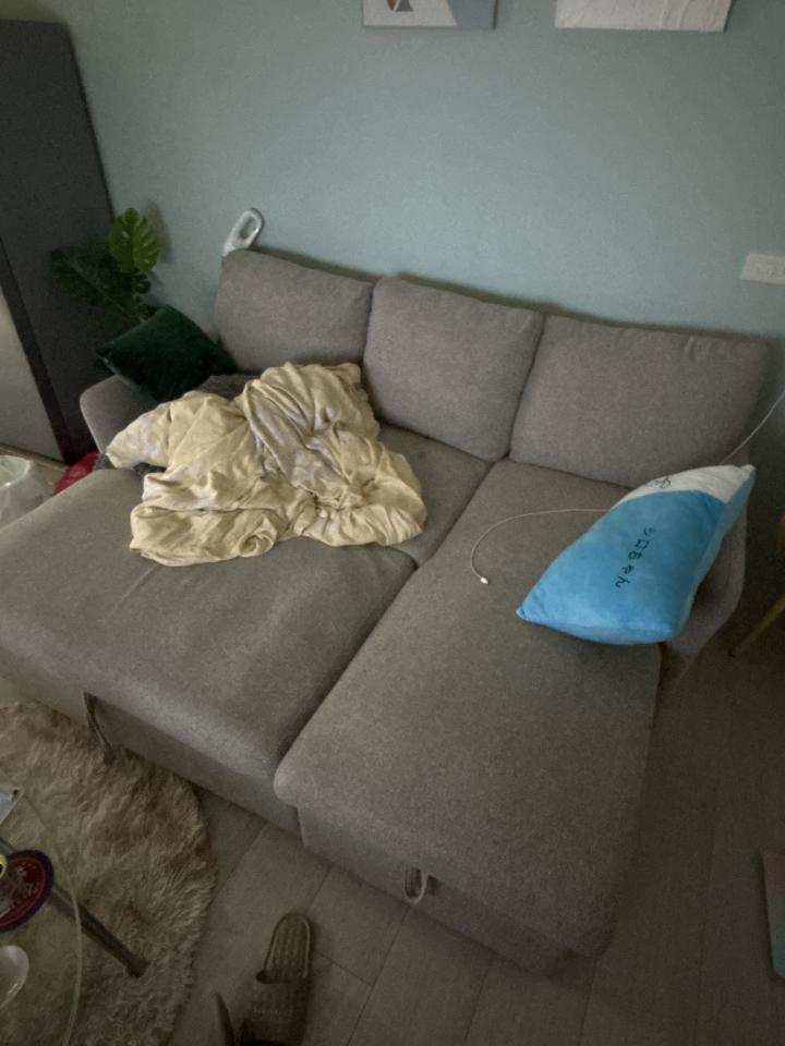 沙發清潔案件圖片