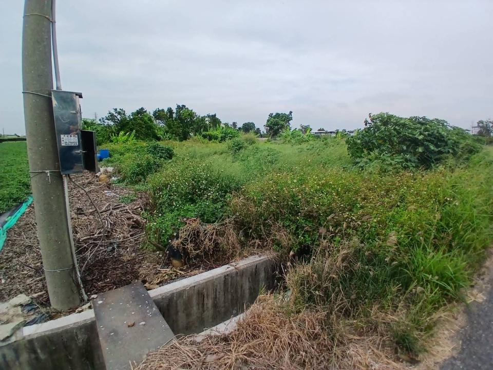 園藝維護案件圖片