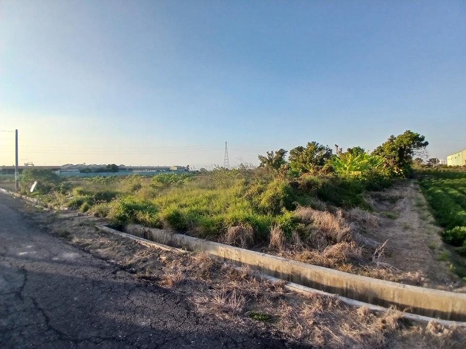 園藝維護案件圖片