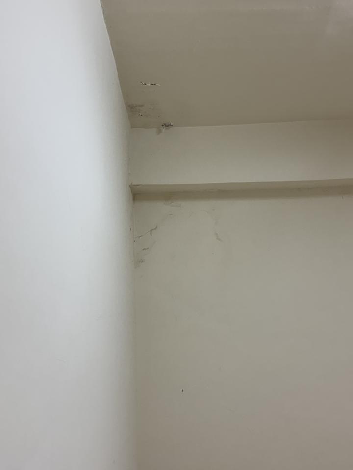 壁癌處理案件圖片