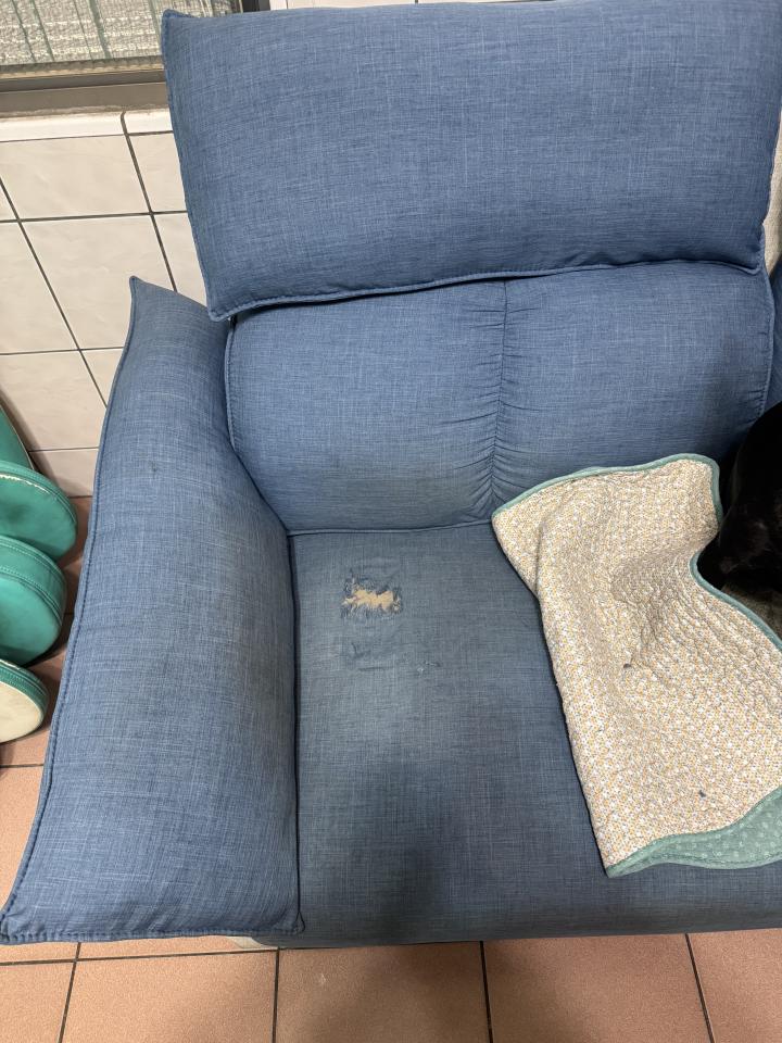 沙發修理案件圖片