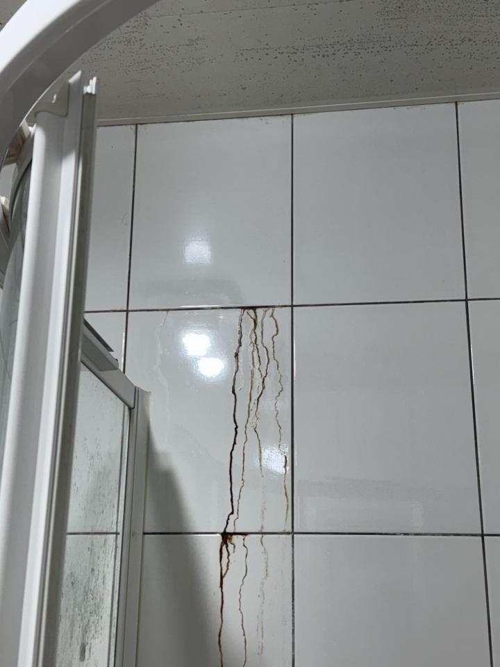 壁癌處理案件圖片