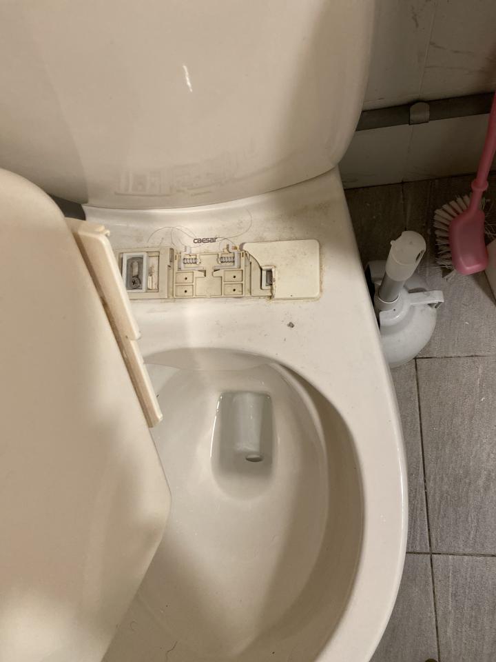 馬桶裝修案件圖片