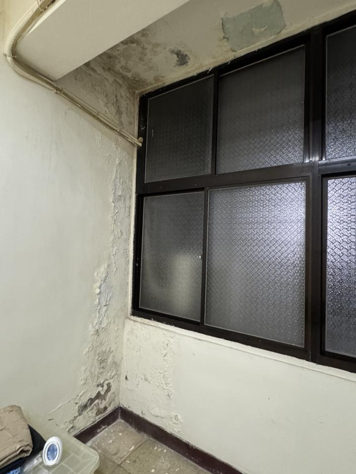 壁癌處理案件圖片