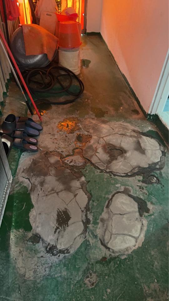 漏水處理案件圖片