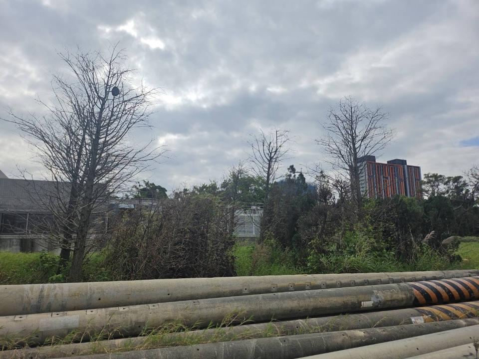 園藝維護案件圖片