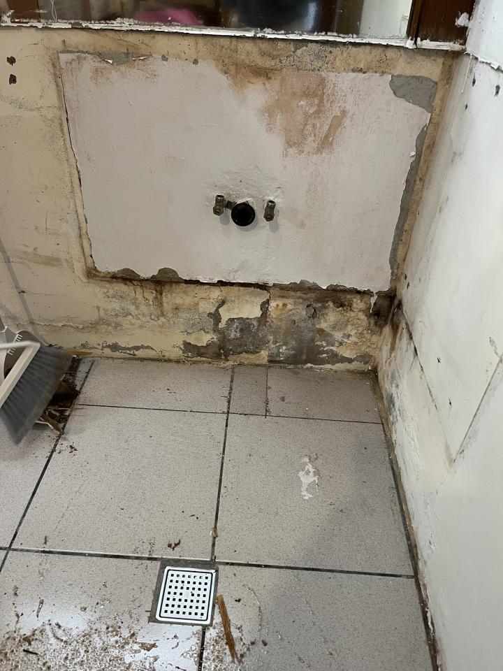 壁癌處理案件圖片